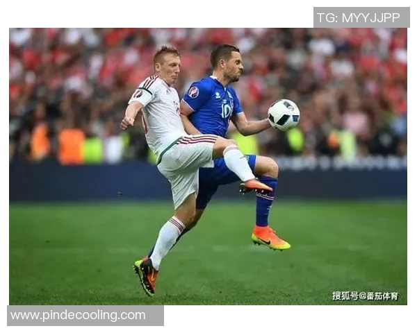 冰岛与匈牙利激战成平局双方各取一分展现实力